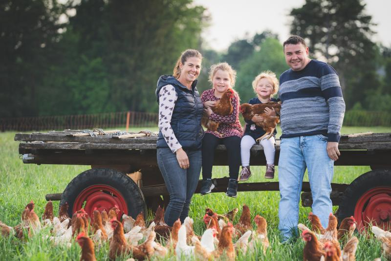 Frische Eier direkt ab Hof